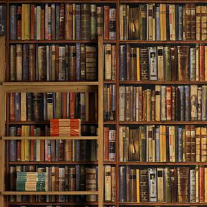 Activités Basta! en période de confinement