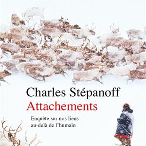 "Attachements" par Charles Stépanoff