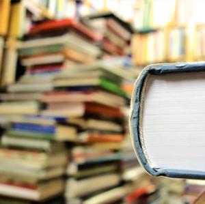 Bulletin de l'été et horaires estivaux