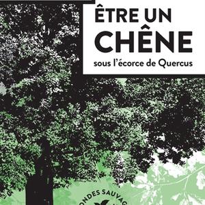 Bulletin de l'été - Laurent Tillon, Être un chêne