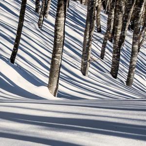 Bulletin de l'été - Jours à Leontica
