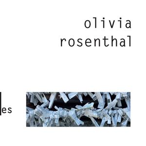 Olivia Rosenthal, Un singe à ma fenêtre, éditions Verticales, 2022